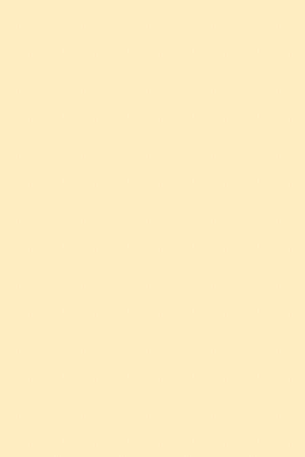 Chardonnay | Flat Waxed Shoelaces