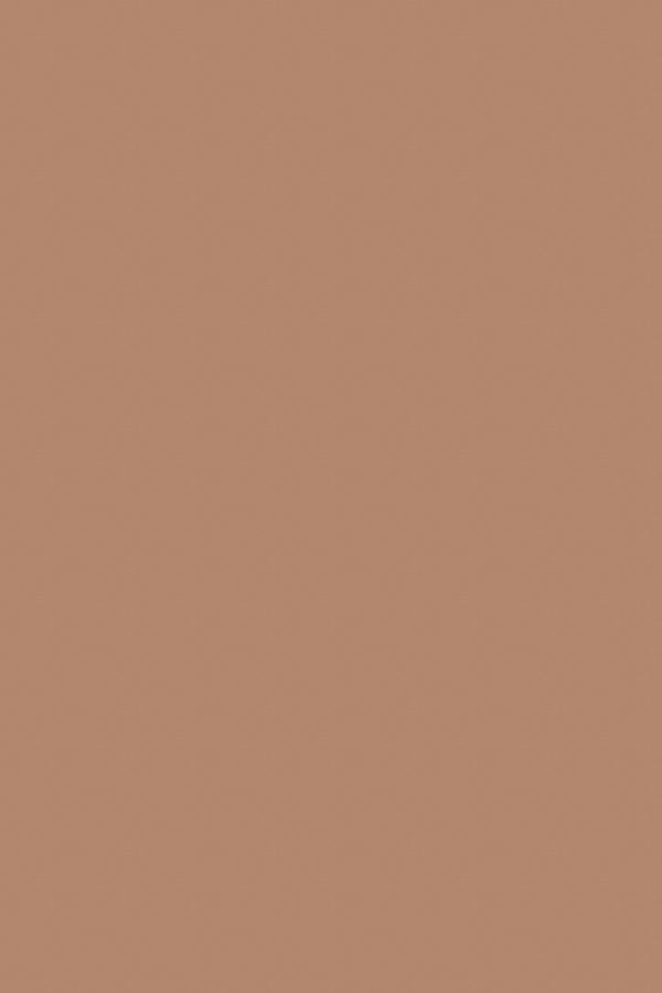Taupe | Flat Waxed Shoelaces